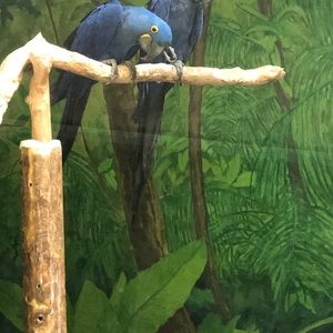 Meet your Posher, Vanetta